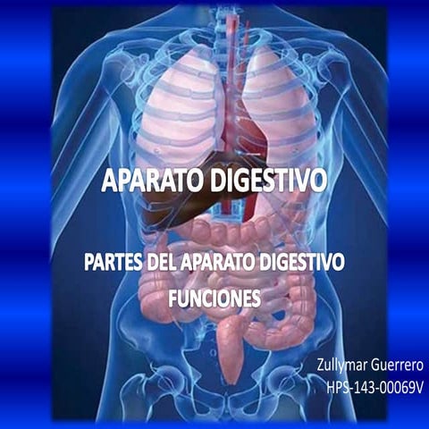 Aparato digestivo 5 grado | PDF