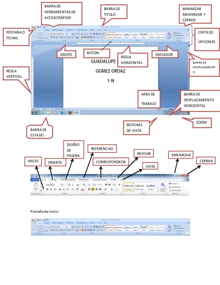 Tarea de word partes