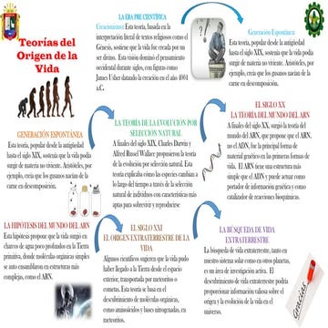 Teoras Del Origen Y Evolucin De La Vida Timeline 768x932