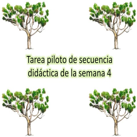 Tarea piloto de secuencia didáctica