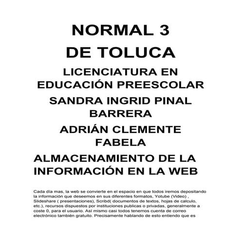 Amacenaminto de la web