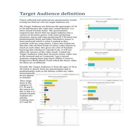 Target audience definition