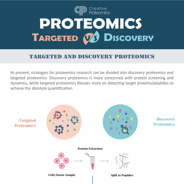 Targeted and Discovery Proteomics | PDF