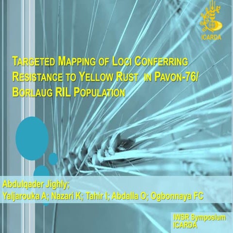 Targeted Mapping of Loci Conferring Resistance to Yellow Rust  in Pavon-76/ B...