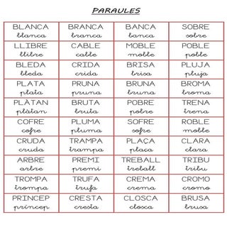 Targetes construcció paraules  sil....