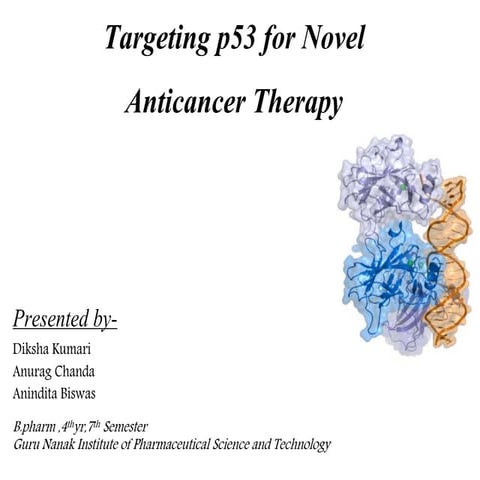 P53 signaling pathway | PDF