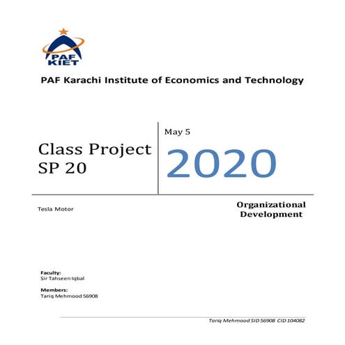 Tesla Motor (Future Perspective) Report 