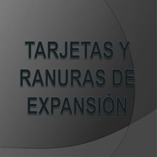 Tarjetas y ranuras de expansión (2)