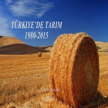 Turkiye'de Tarim Ekonomisi 1980-2015