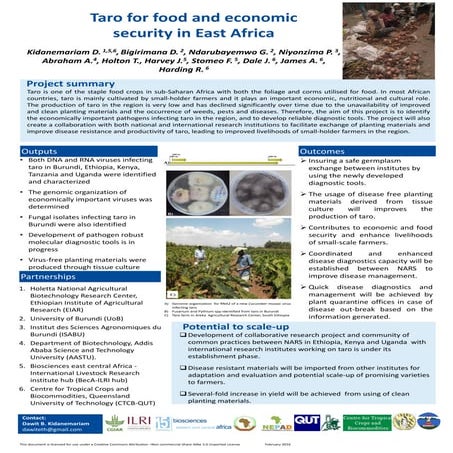 Taro for food and economic security in East Africa