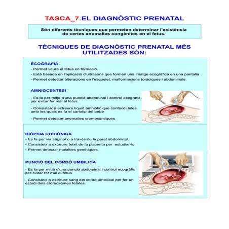Tasca 7.el diagnòstic prenatal