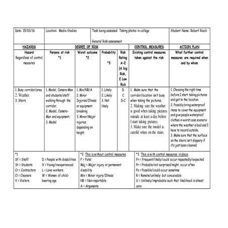 Risk assessment for music mag | DOC