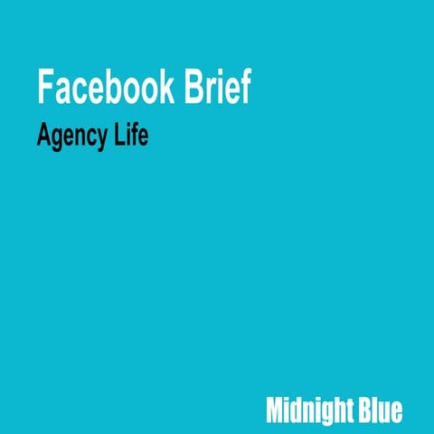 Task 1 facebook brief final (4)