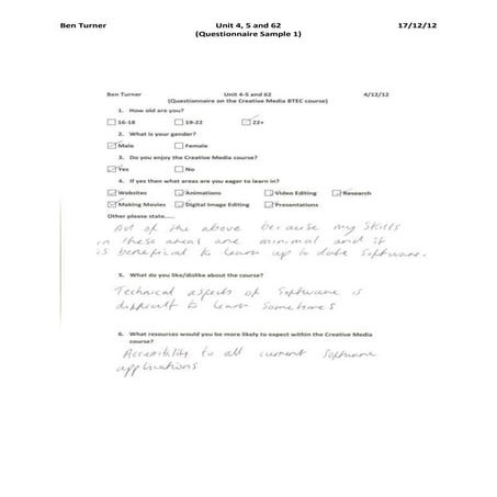 Task 2bii questionnaire sample 1 | DOCX