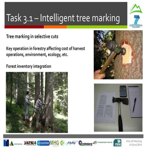 Task 3.1 intelligent tree marking (by cnr) | PPTX | Woodworking | Arts ...