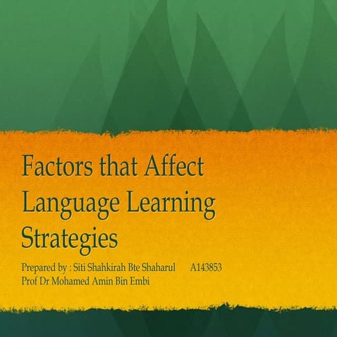 Task 7 - Factors that Affect Language Learning Strategies