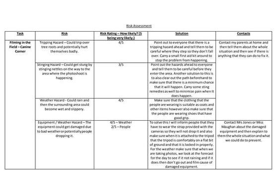 Risk assessment | PPTX