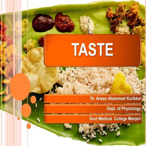 Taste Physiology