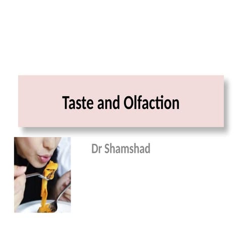 physiology lecture on the  taste and smell