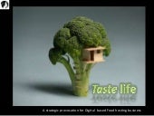 Taste life_ food travel business st...