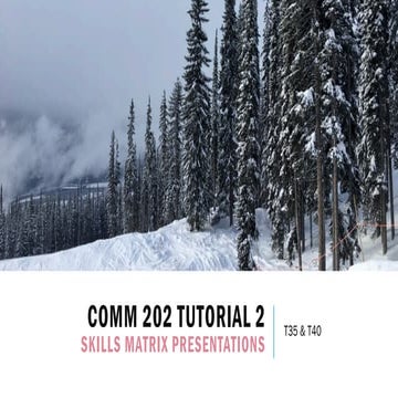COMM 202 Tutorial 2 - Stella 