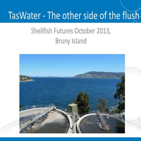 Tas water   the other side of the flush