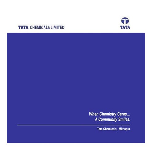 Tata  Chemicals, Mithapur