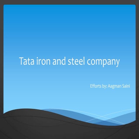 Tata iron and steel company(by aagman saini)