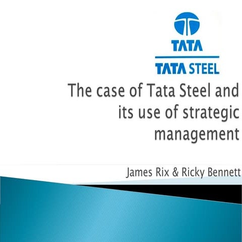 770174212-Tata-Steel-Case-Study-2024.pptx
