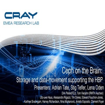 Ceph on the Brain: Storage and Data-Movement Supporting the Human Brain ...