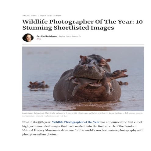 Wildlife Photographer Of The Year: 10 Stunning Shortlisted Images | PDF