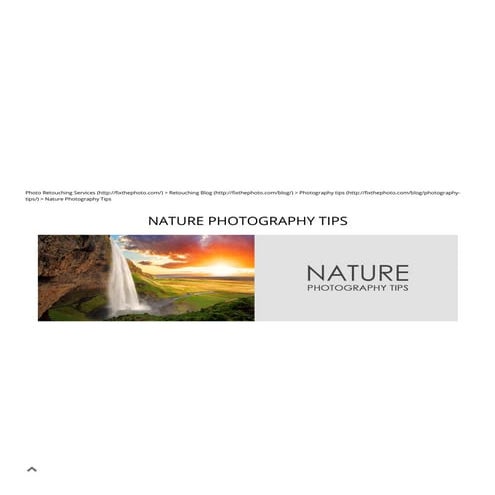 NATURE PHOTOGRAPHY TIPS | PDF