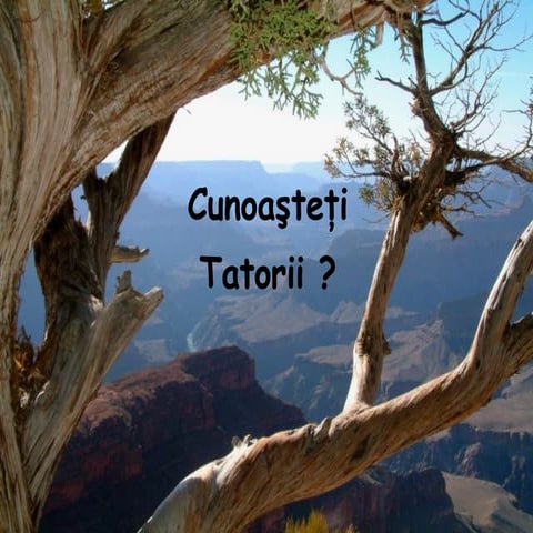 Tatorii