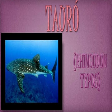 Tauró