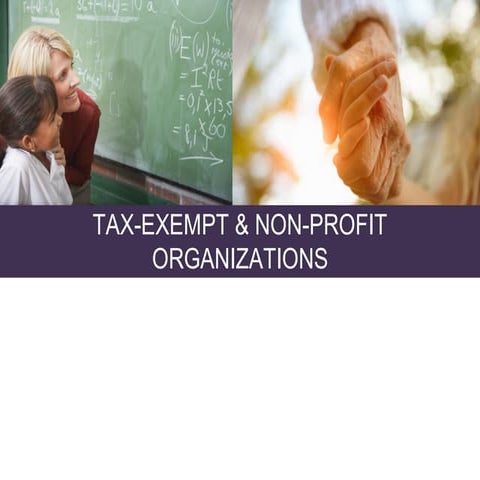 Tax exempt non-profit-organization_attorney_lawyer