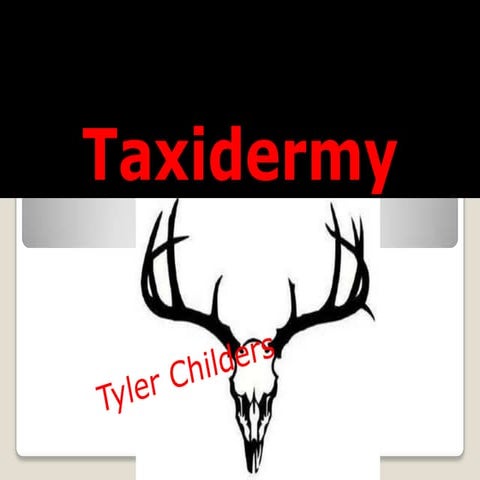 Taxidermy Presentation
