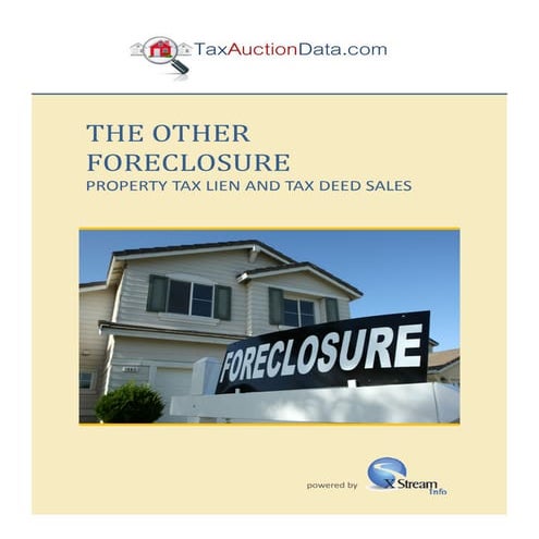 Tax lien and tax deed investments exec summary | PDF