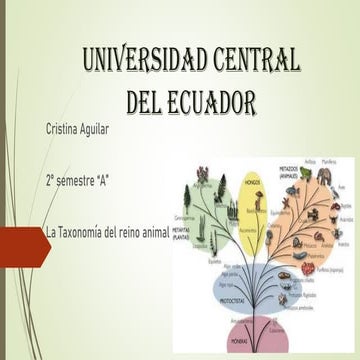 Taxonomía del Reino Animal.pdf