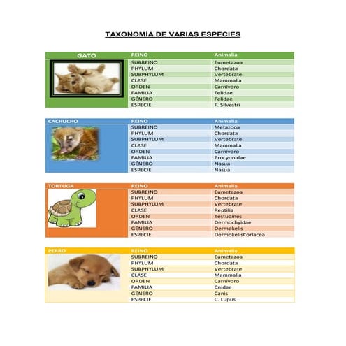 Taxonomía de varias especies