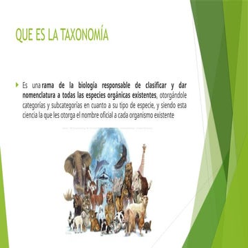 PRESENTACION SOBRE TAXONOMIA COMPONENTE FAUNA