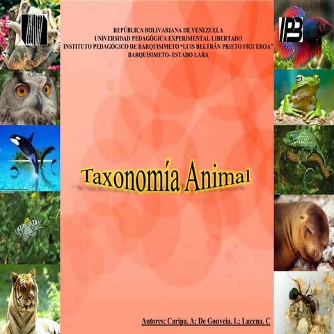 Taxonomia animal