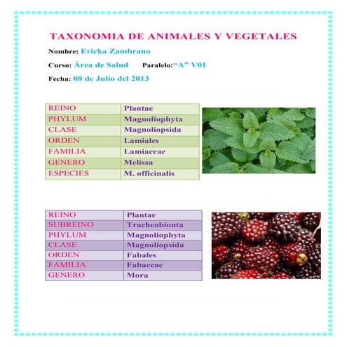 Taxonomia de animales y vegetales