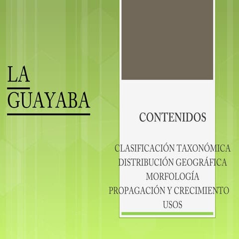 Taxonomia de la guayaba