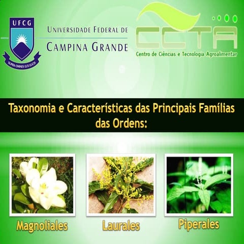 Sistemática Vegetal - Ordens: Magnoliales, Laurales e Piperales.