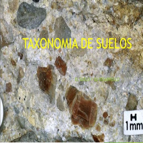 Calcisol.pdf
