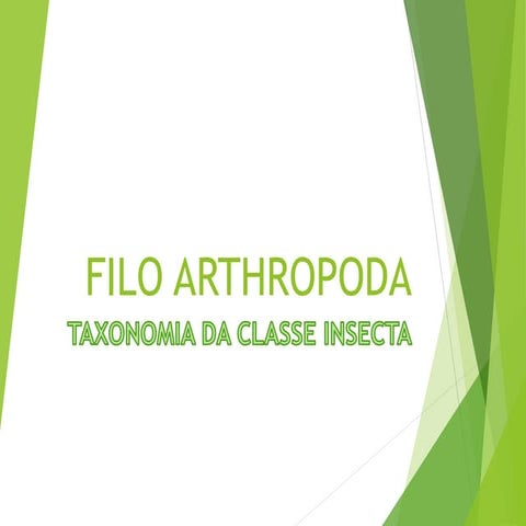 Taxonomia filo arthropoda, classe insecta | PDF