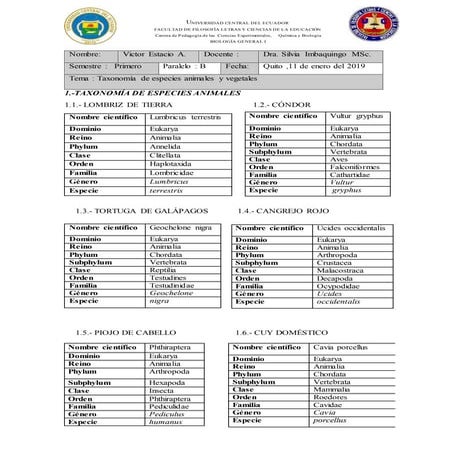 Taxonomia de especies Animales y Vegetales 