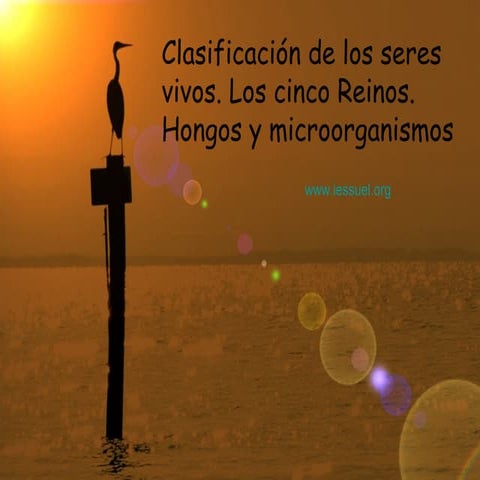 Taxonomia y cinco_reinos