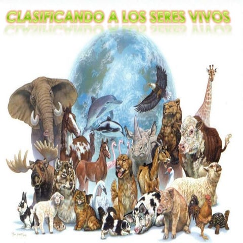 Taxonomia y sistematica