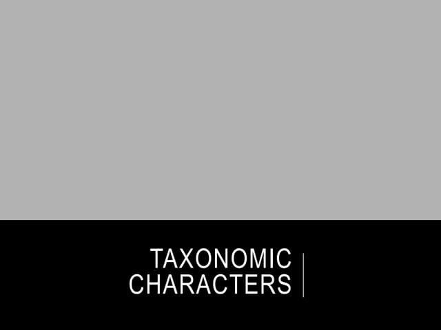 Taxonomic characters 7